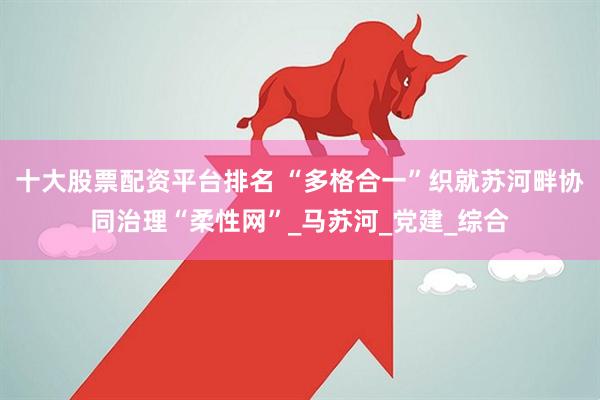 十大股票配资平台排名 “多格合一”织就苏河畔协同治理“柔性网”_马苏河_党建_综合
