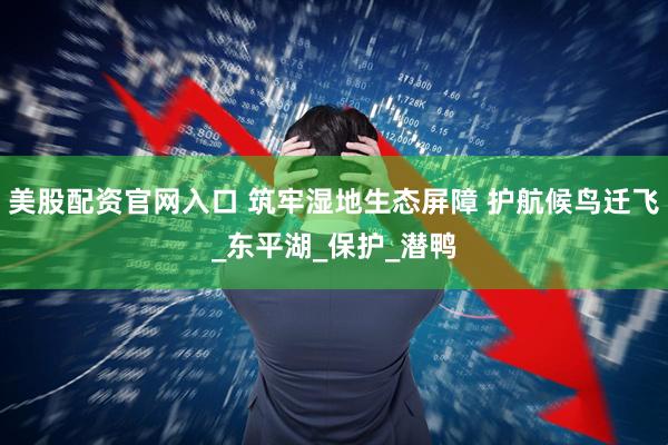 美股配资官网入口 筑牢湿地生态屏障 护航候鸟迁飞_东平湖_保护_潜鸭